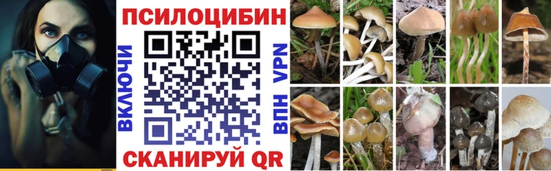 Псилоцибиновые грибы Cubensis  Чистополь 
