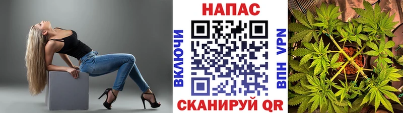 где найти   Чистополь  Шишки марихуана конопля 
